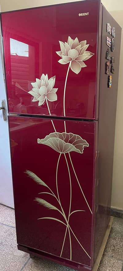 Orient Fridge medium Size with glass door