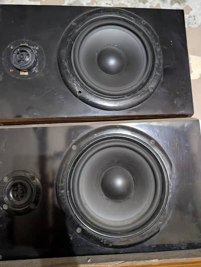 8 inch speaker pair