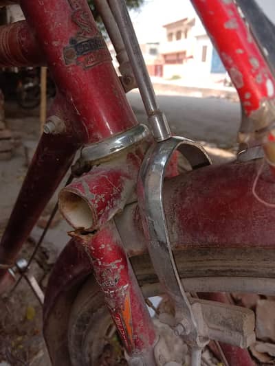 Sohrab bicycle