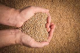 old wheat for sale