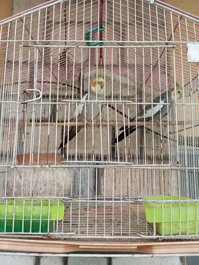 American Grey Cocktail Pair for sale