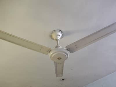 Ceiling fans for sale. 100 % copper 90 watt