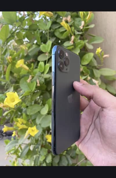iPhone 11 pro PTA approved
