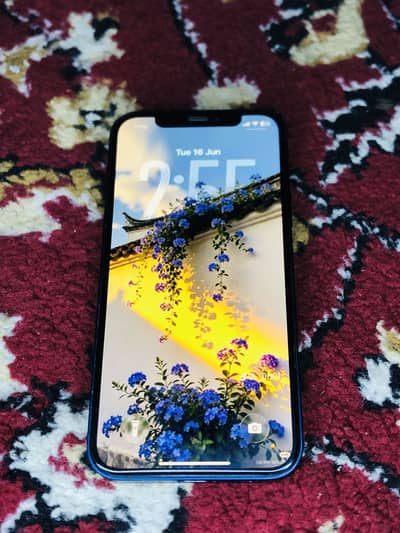 iPhone 12 PTA Approved