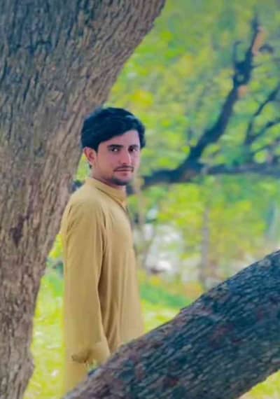 Saifullah 