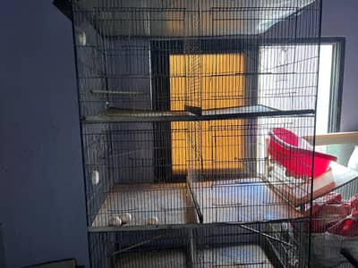 Bird's cage