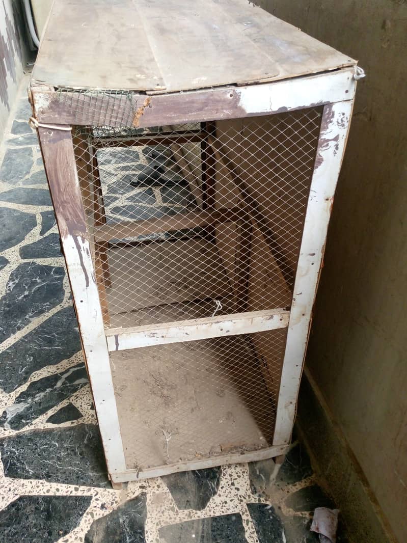 HEN CAGE 3