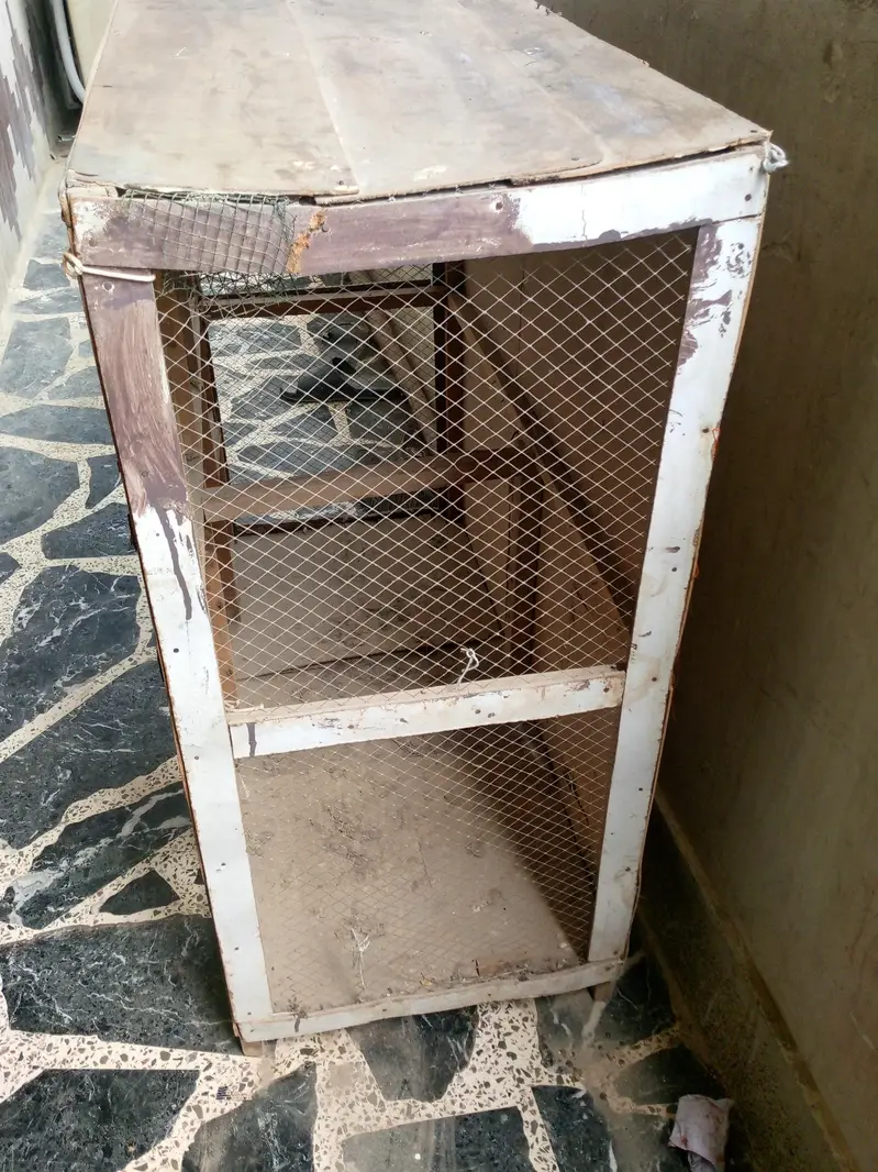 HEN CAGE — photo 4