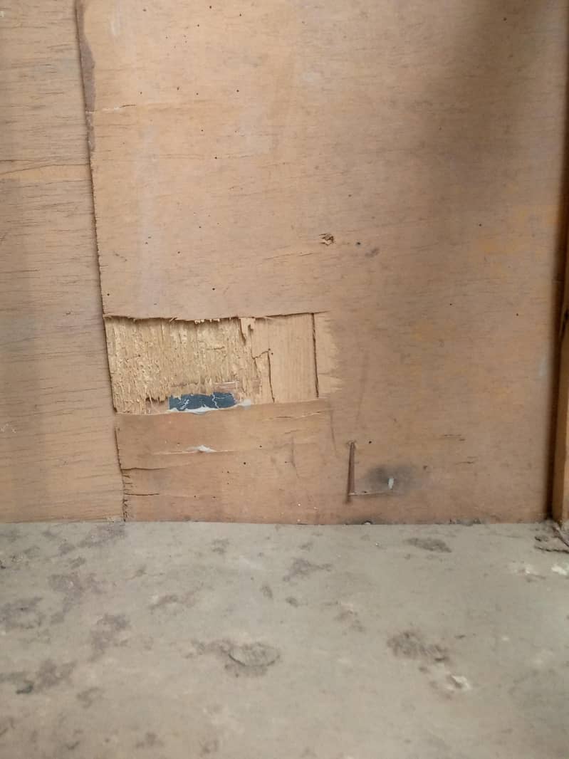 HEN CAGE 4