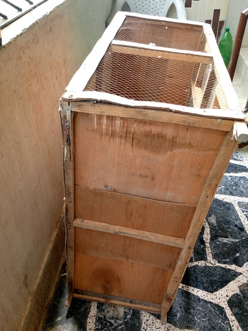 HEN CAGE 5