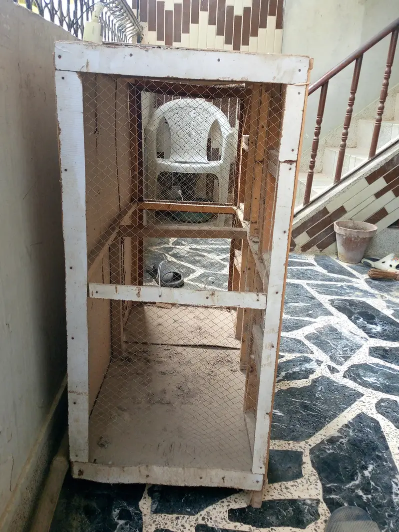 HEN CAGE — photo 7