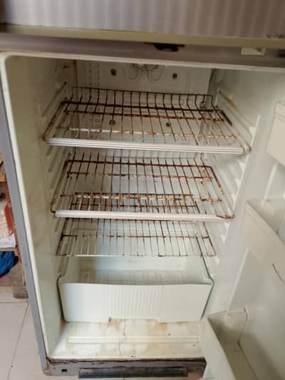 fridge