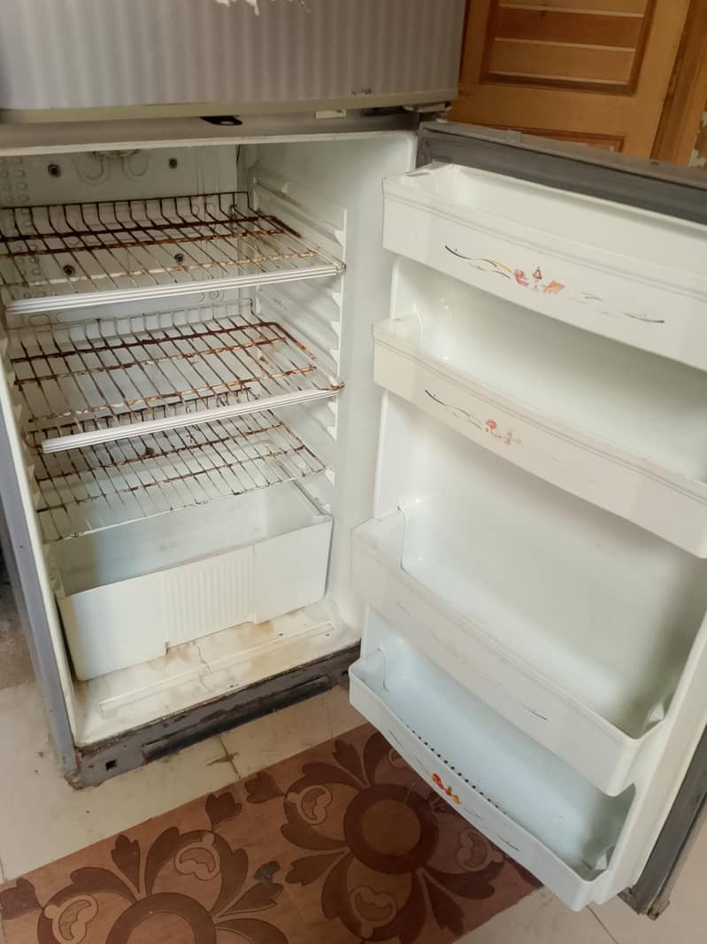 fridge 1