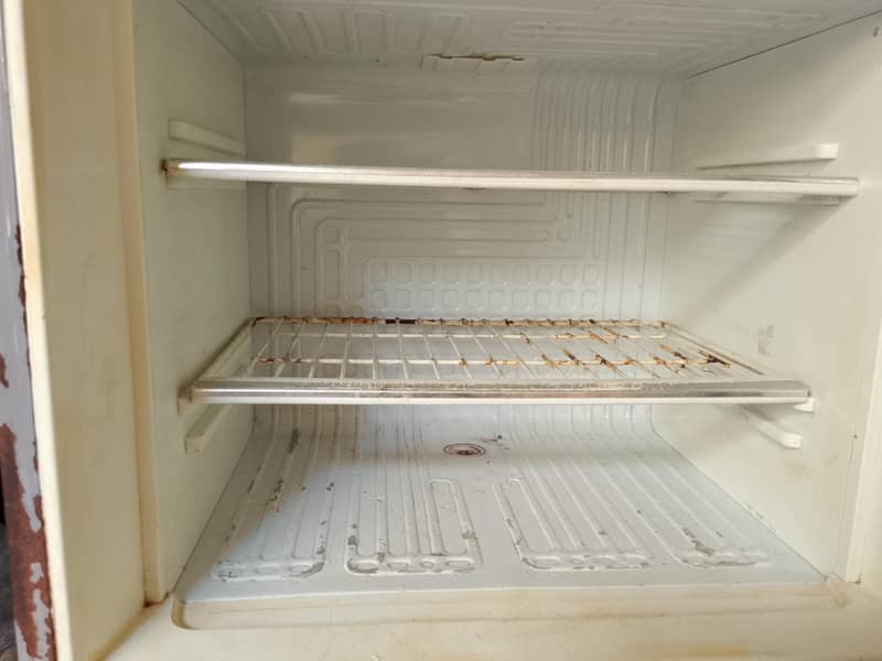 fridge 2