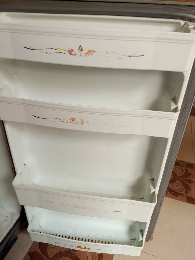 fridge 4