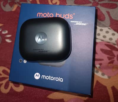 Motorola Buds +