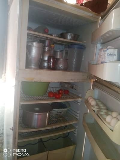 pel fridge