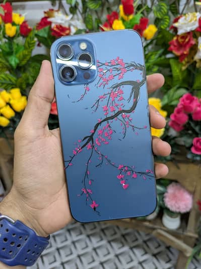 Apple iPhone 12 Pro Max PTA Dual Sim