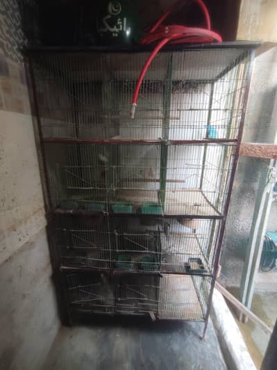 12 portion cage location gizri Karachi