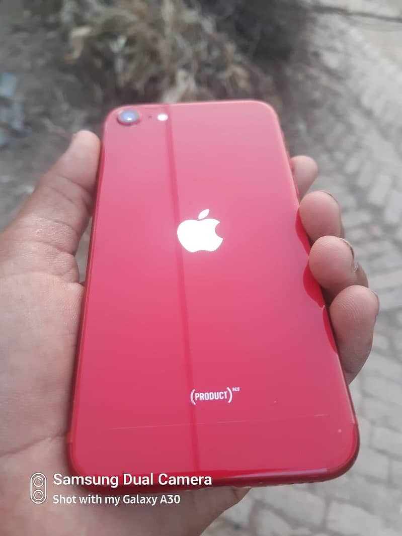 Apple 3