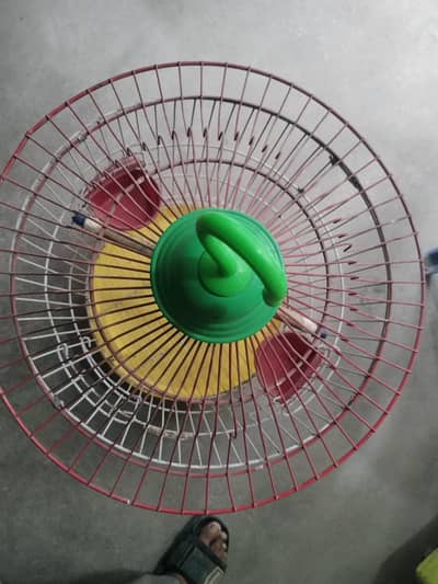 parrot cage