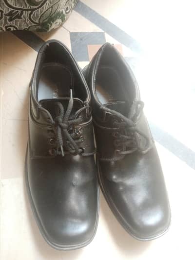 black shoes for men's and college students