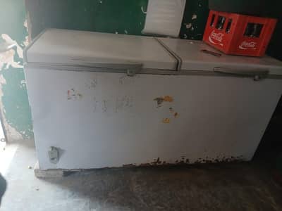 waves deep freezer double door