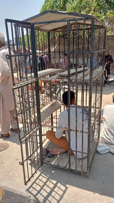 hens cage urgent sale