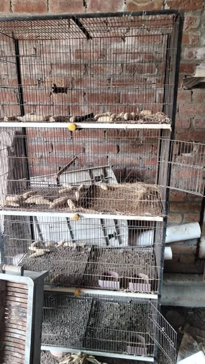 cages are available slightly used