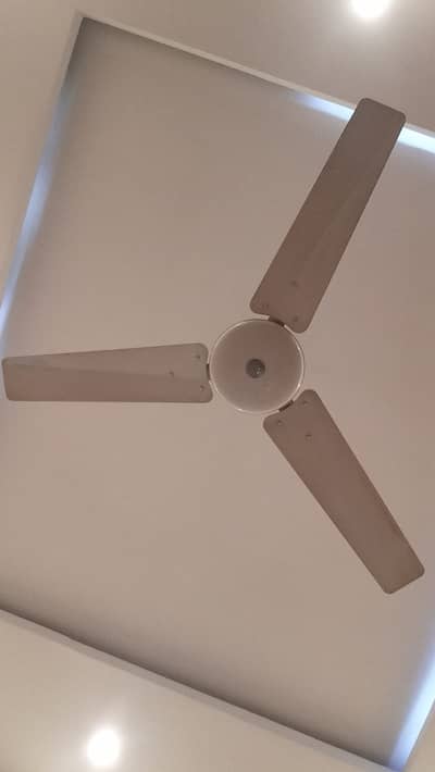 Selling 2 fans each 5k contact me 03454617861
