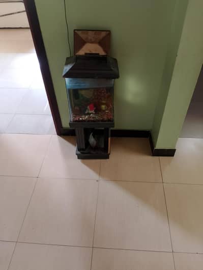 Fish with Aquarium
