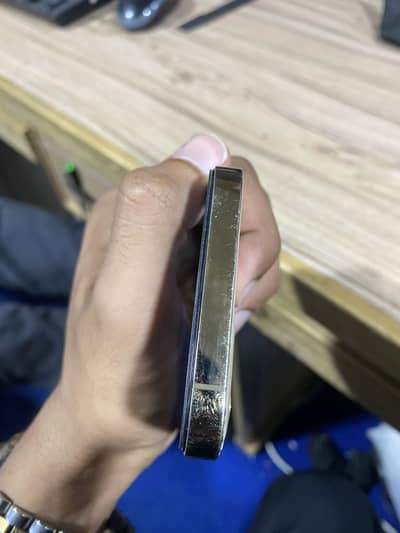 Apple iPhone 12 Pro