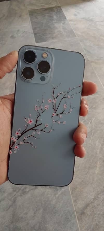 Apple iPhone 13 Pro Max factory unlock