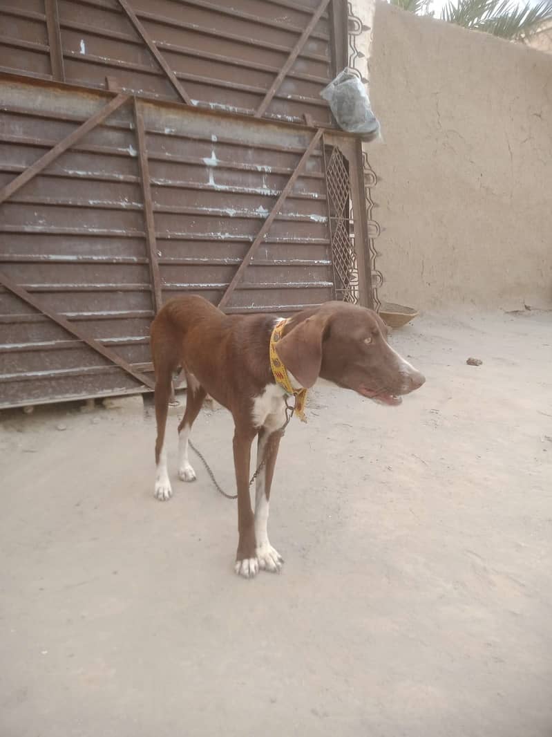 Pointer for sell 0