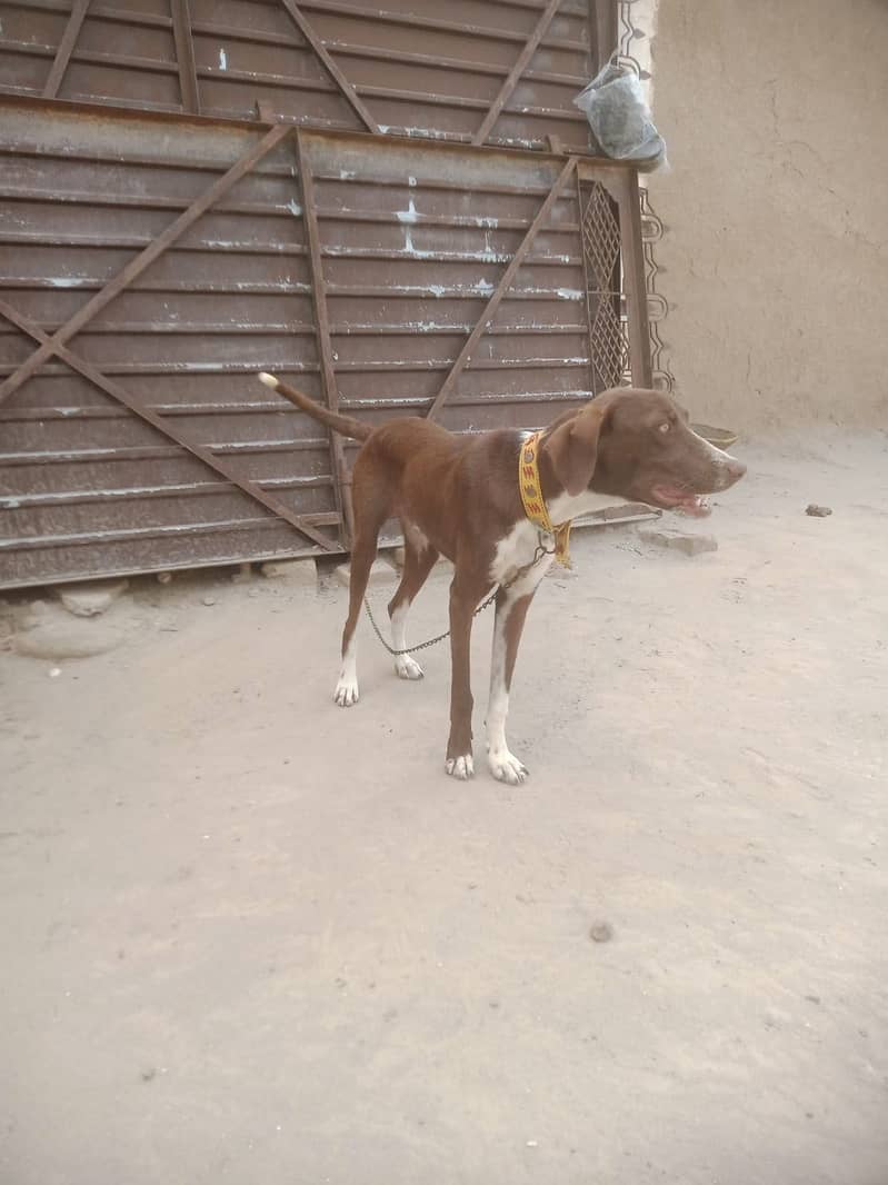 Pointer for sell 1