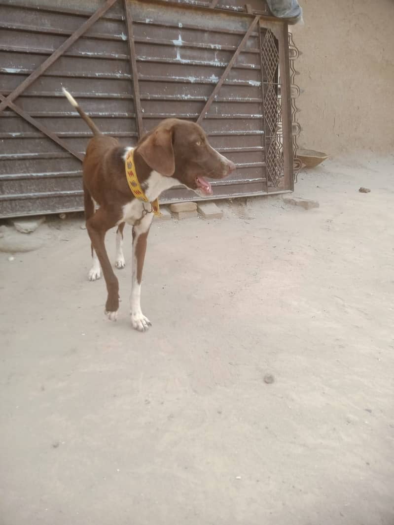Pointer for sell 2