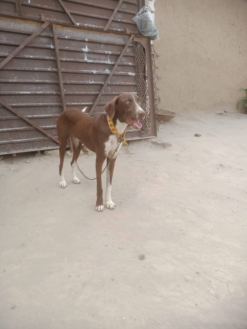 Pointer for sell 3
