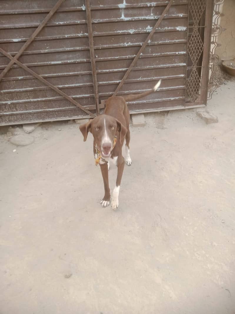 Pointer for sell 4