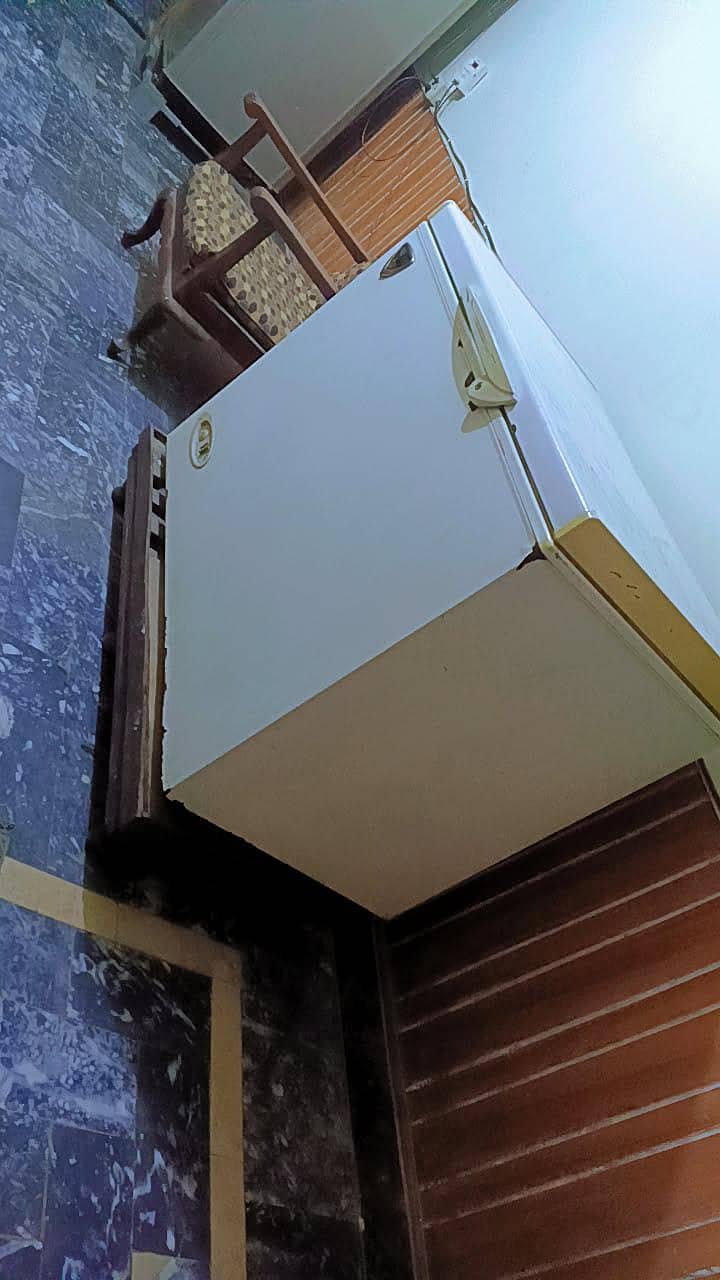 frezer 0
