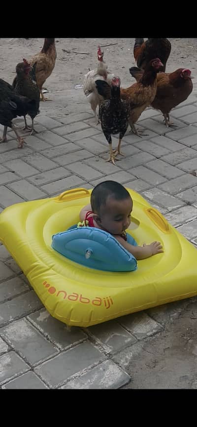 Pool walker