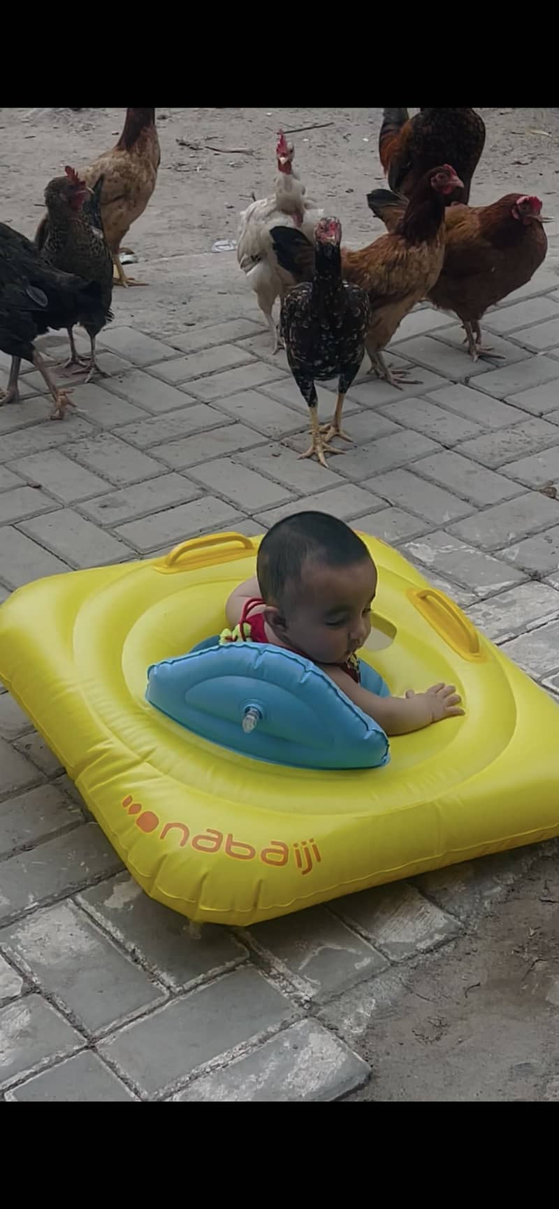 Pool walker 0
