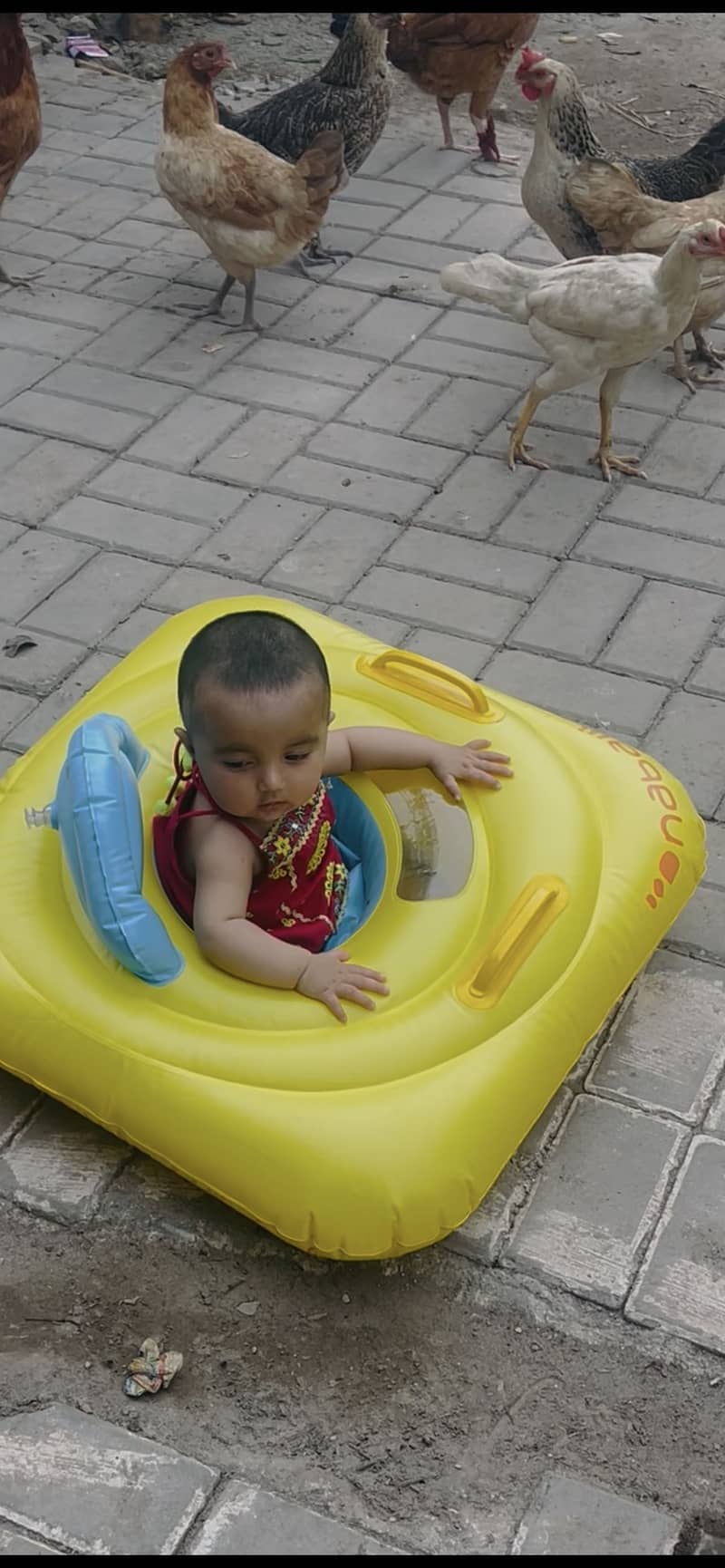 Pool walker 1