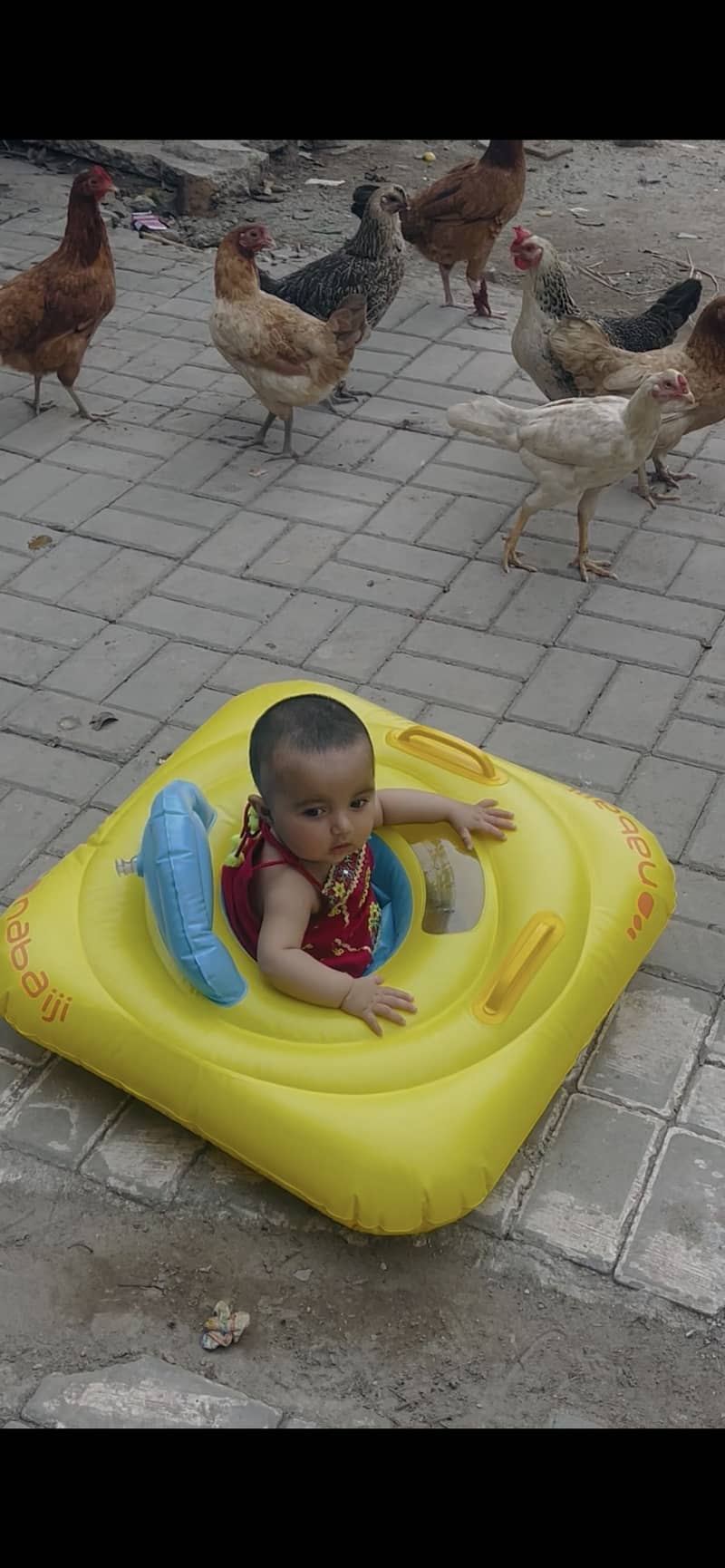 Pool walker 2
