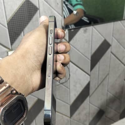 10by10 14 pro