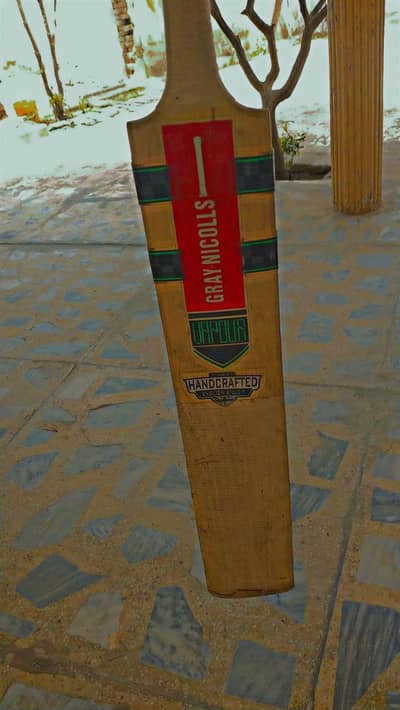 Gray Nicolls bat