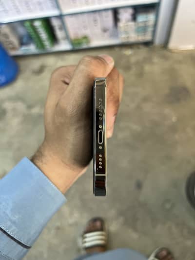 Apple iPhone 12 Pro Max