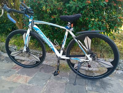 Well - Maintained EuroBike available for sale.