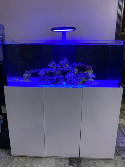 Salt water fish tank/ aquarium for sale