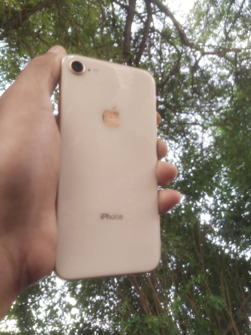 Apple iPhone 8 0