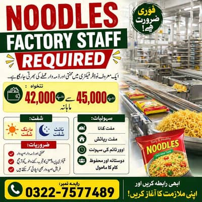 Noodles Factory Staff Required | Male & Female Styaff | Jobs
